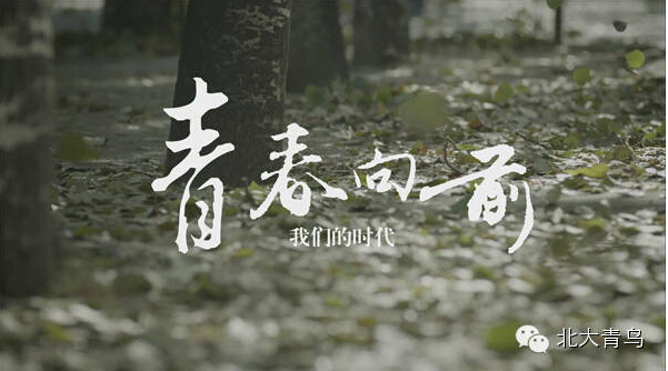 WI(y)Δ[Óϣɞ鸸ĸ