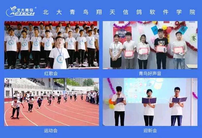 河南鄭州技術(shù)學(xué)院招生要求有哪些