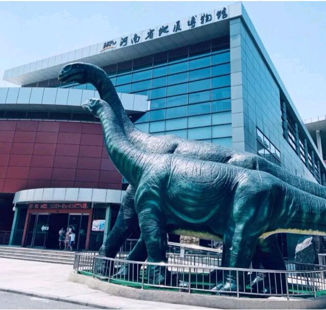 【地質博物館之行】鄭州北大青鳥翔天信鴿啟蒙星素質拓展訓練!